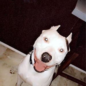 Meet your Posher, Kirsten